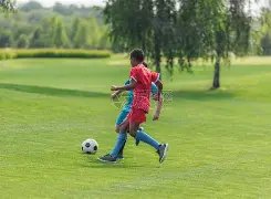 萨索洛后卫,维纳转投罗,短期租借至,球探体育,球探,球探体育比分网,球探比分网首页